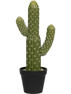 Tuft