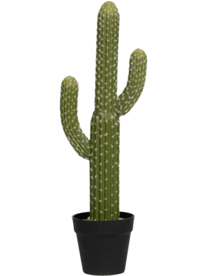 Tuft