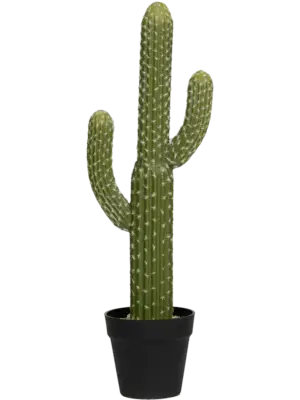 Tuft