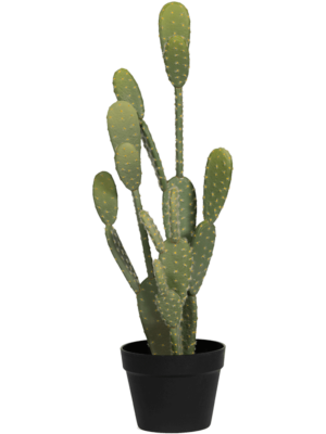 Tuft