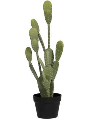 Tuft