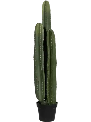 Tuft