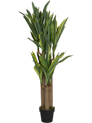 Tuft