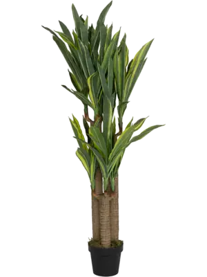 Tuft