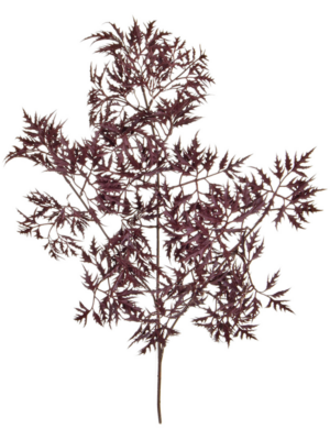 Burgundy (FR)