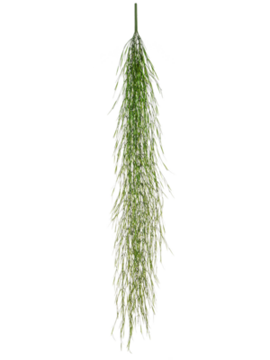 Hanging Bush (FR)