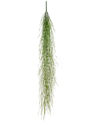 Hanging Bush (FR)