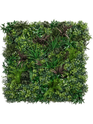 Greenwall (FR)