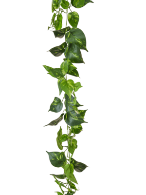 Garland (FR)