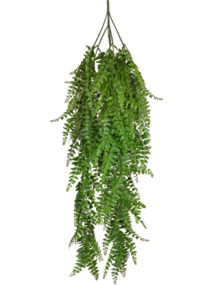 Hanging Bush (FR)