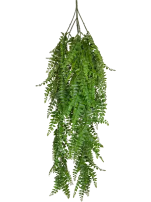Hanging Bush (FR)
