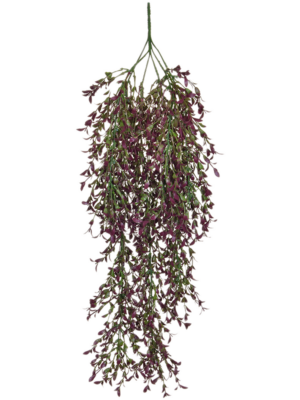 Hanging Busch (FR)