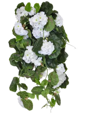 Bush (FR)