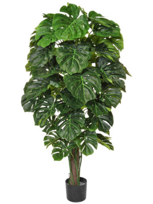 Bush (FR)