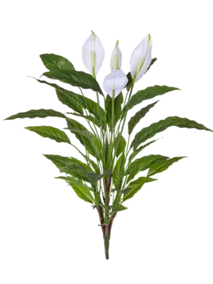 Bush (FR)