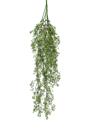 White Hanging Bush (FR)