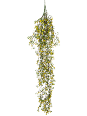 Hanging Bush (FR)