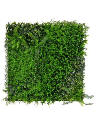 Greenwall (UV)