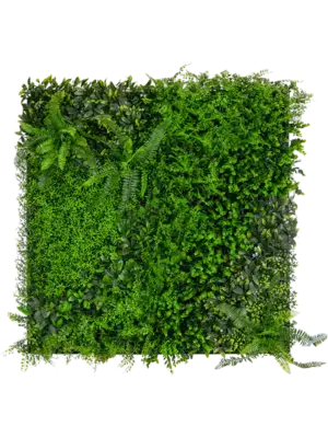 Greenwall (UV)