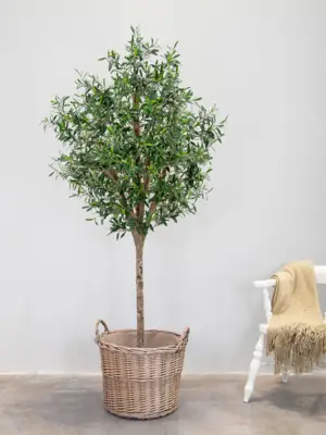 Tree Natural Trunk (FR)