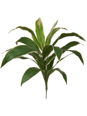 Green/Yellow (FR)