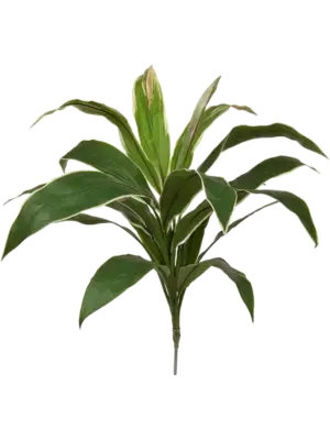 Green/Yellow (FR)