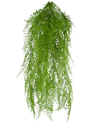 Hanging Bush (FR)