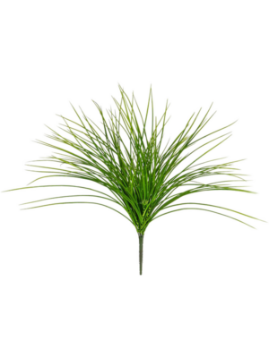 Green (FR)