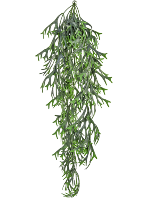 Hanging Busch (FR)