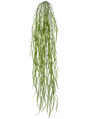 Hanging Bush (FR)