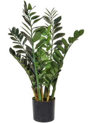 Base Tree (FR)