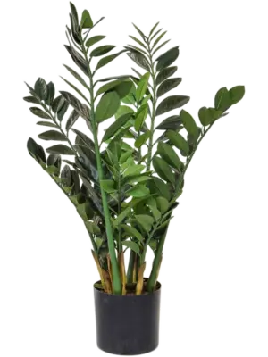 Base Tree (FR)