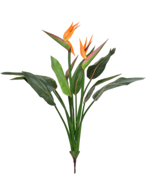 Flower (FR)