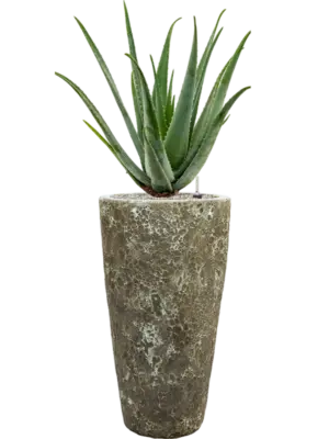 Soil (Vulkastrat)