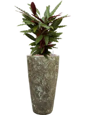 Hydroculture