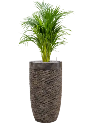 Soil (Vulkastrat)