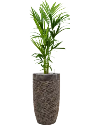 Soil (Vulkastrat)