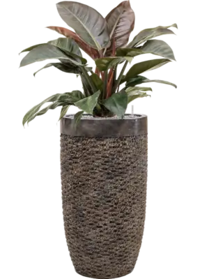 Soil (Vulkastrat)