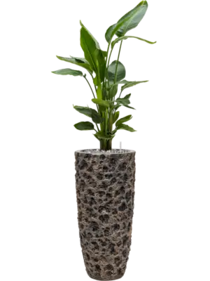 Soil (Vulkastrat) with Ardenner Split grey 7-14 mm