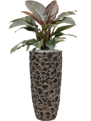 Soil (Vulkastrat) with Ardenner Split grey 7-14 mm