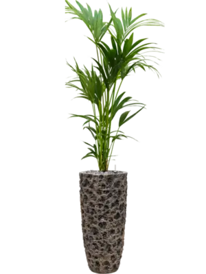 Soil (Vulkastrat) with Ardenner Split grey 7-14 mm