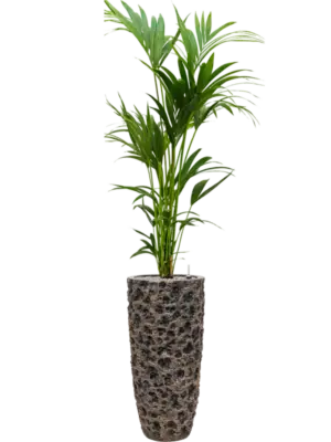 Soil (Vulkastrat)