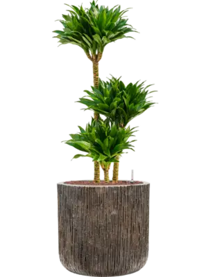 Hydroculture