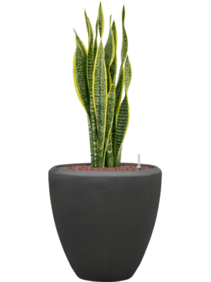 Hydroculture