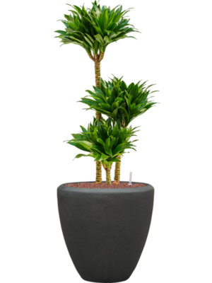 Hydroculture