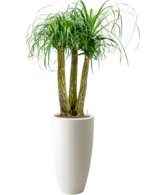 Hydroculture