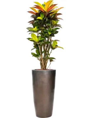 Hydroculture
