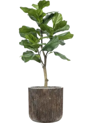 Artificial glued