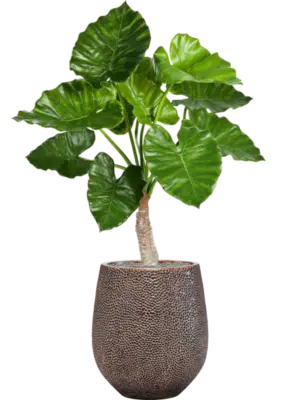 Artificial glued