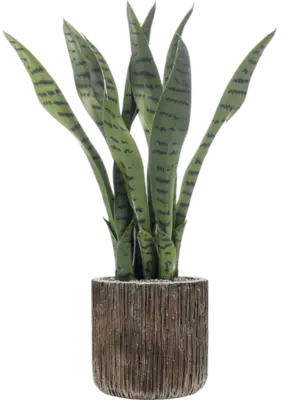Artificial glued